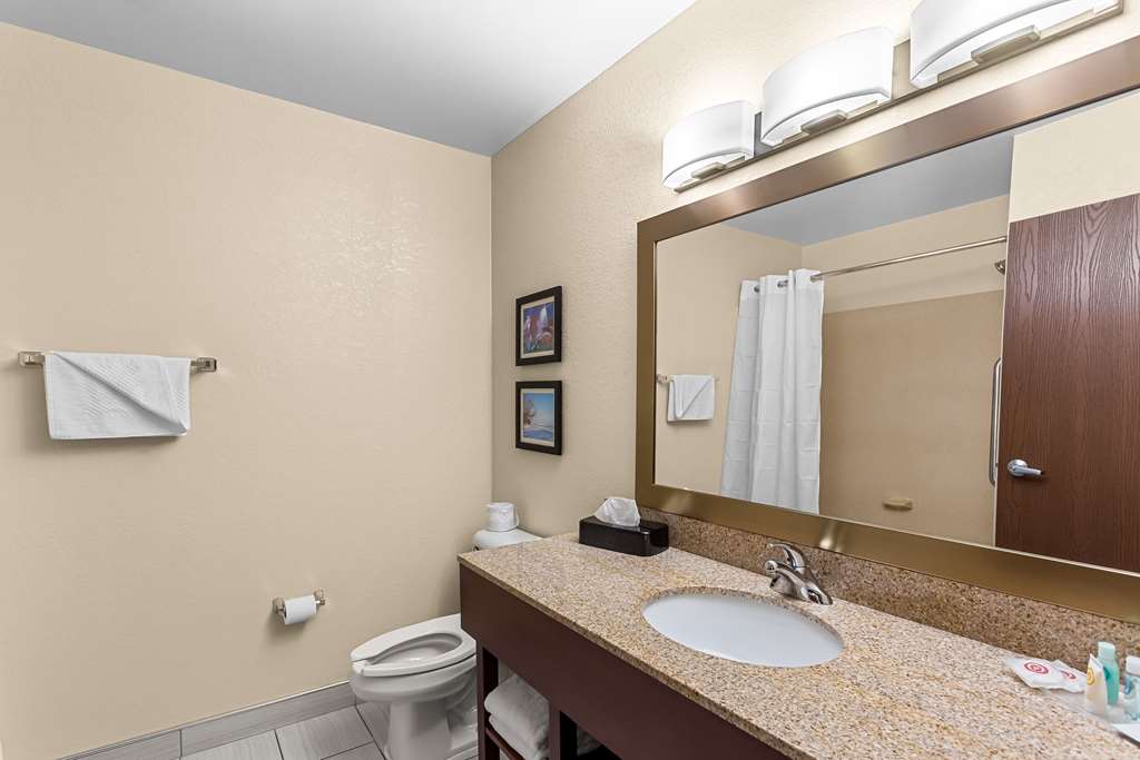 Comfort Suites Grayslake near Libertyville North - photo 14
