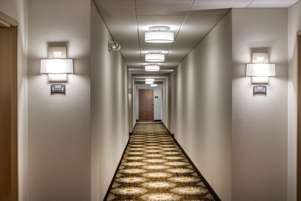 Staybridge Suites Chantilly Dulles Airport by IHG - photo 24