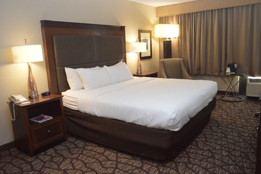 North Baltimore Plaza Hotel - photo 12