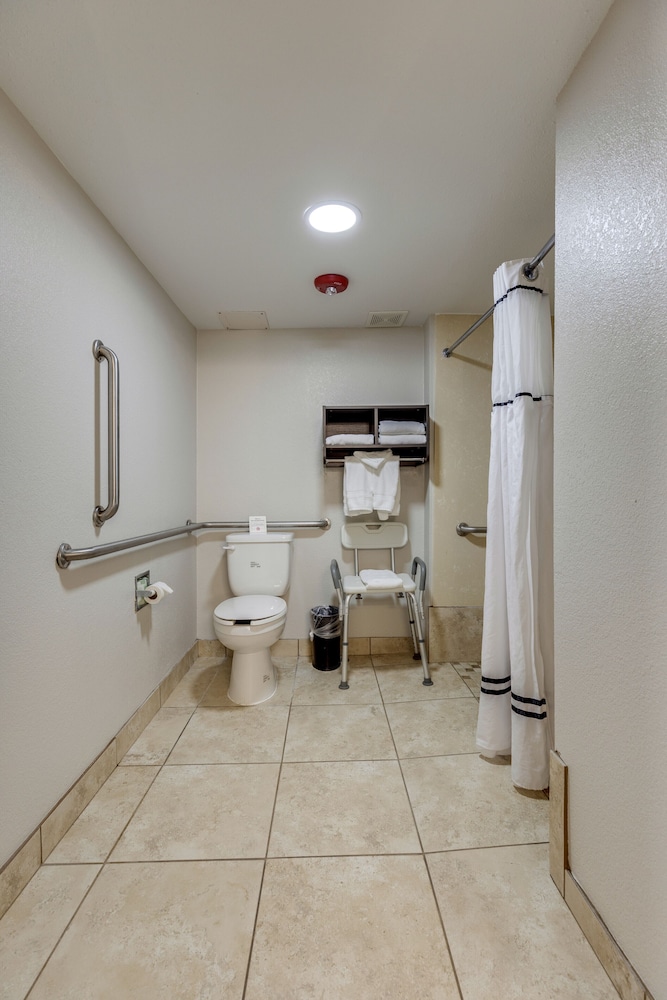 The Alexis Inn & Suites Nashville Airport - photo 41