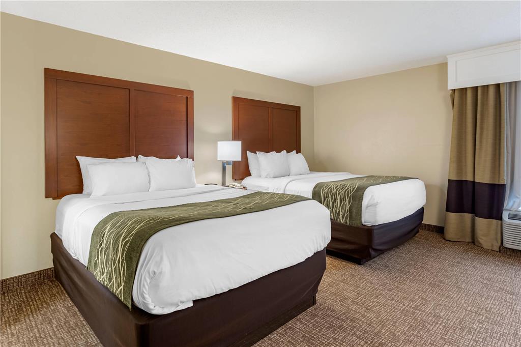 Comfort Inn & Suites Little Rock Airport - photo 22