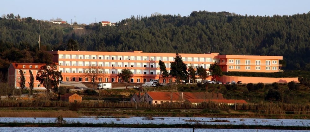 Palace Hotel & SPA Termas do Bicanho — hotel in Soure