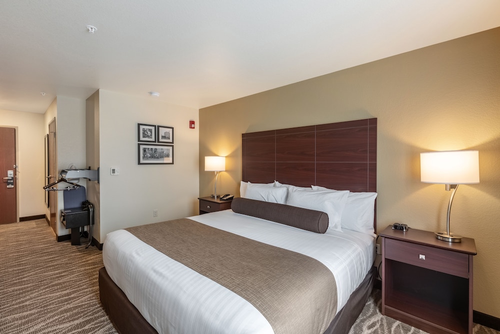 Cobblestone Hotel & Suites Chippewa Falls - photo 31