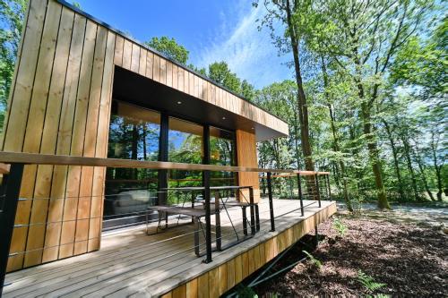 Forest Cube - carbon neutral hotel in Unknown City