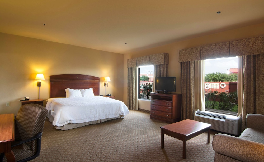 Hampton Inn & Suites Brownsville - photo 5