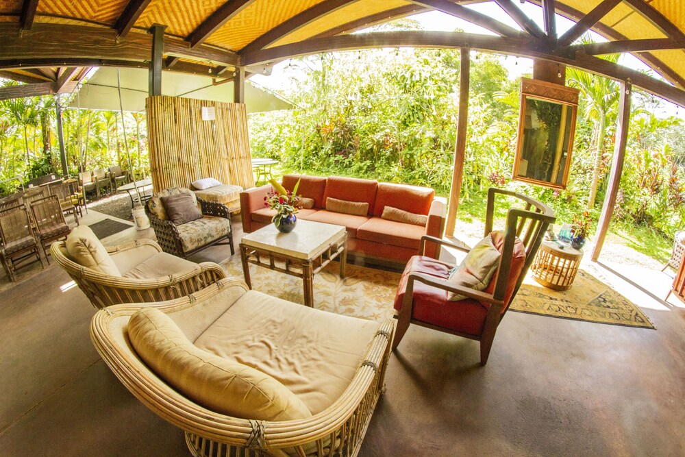 Hawaiian Sanctuary - photo 26