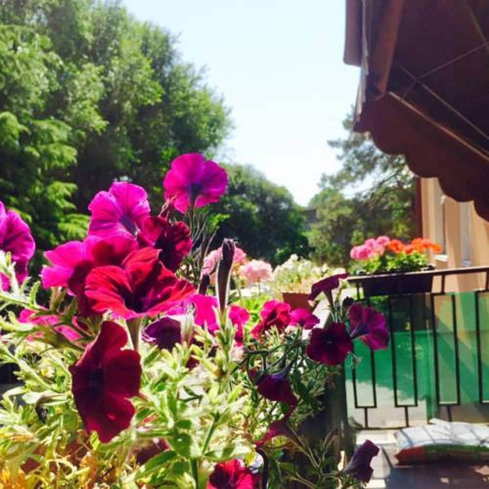 Amore Rosa — hotel in Campalto