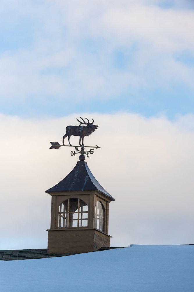 Elk Refuge Inn - photo 101