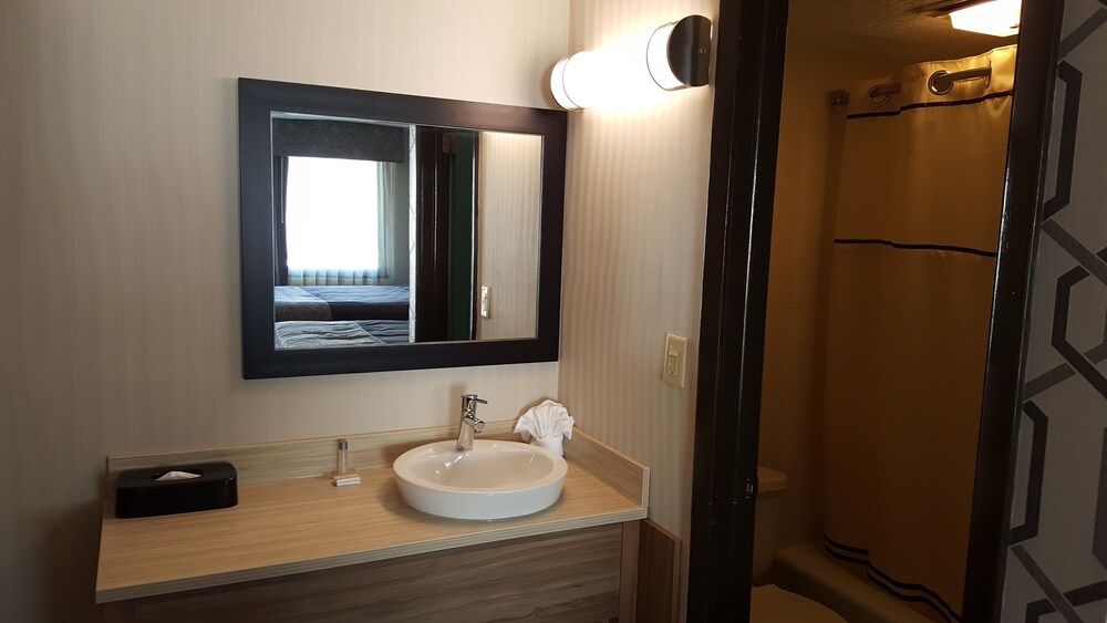 Aartpark Hotel Inn At Lewiston - photo 16