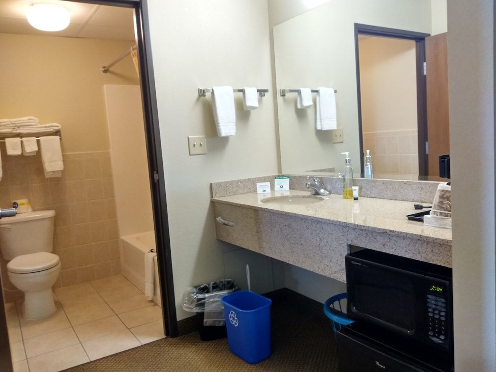 Madelia Hotel & Suites - photo 44
