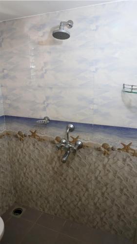 Babush Ocean Star — Canacona — photo 3
