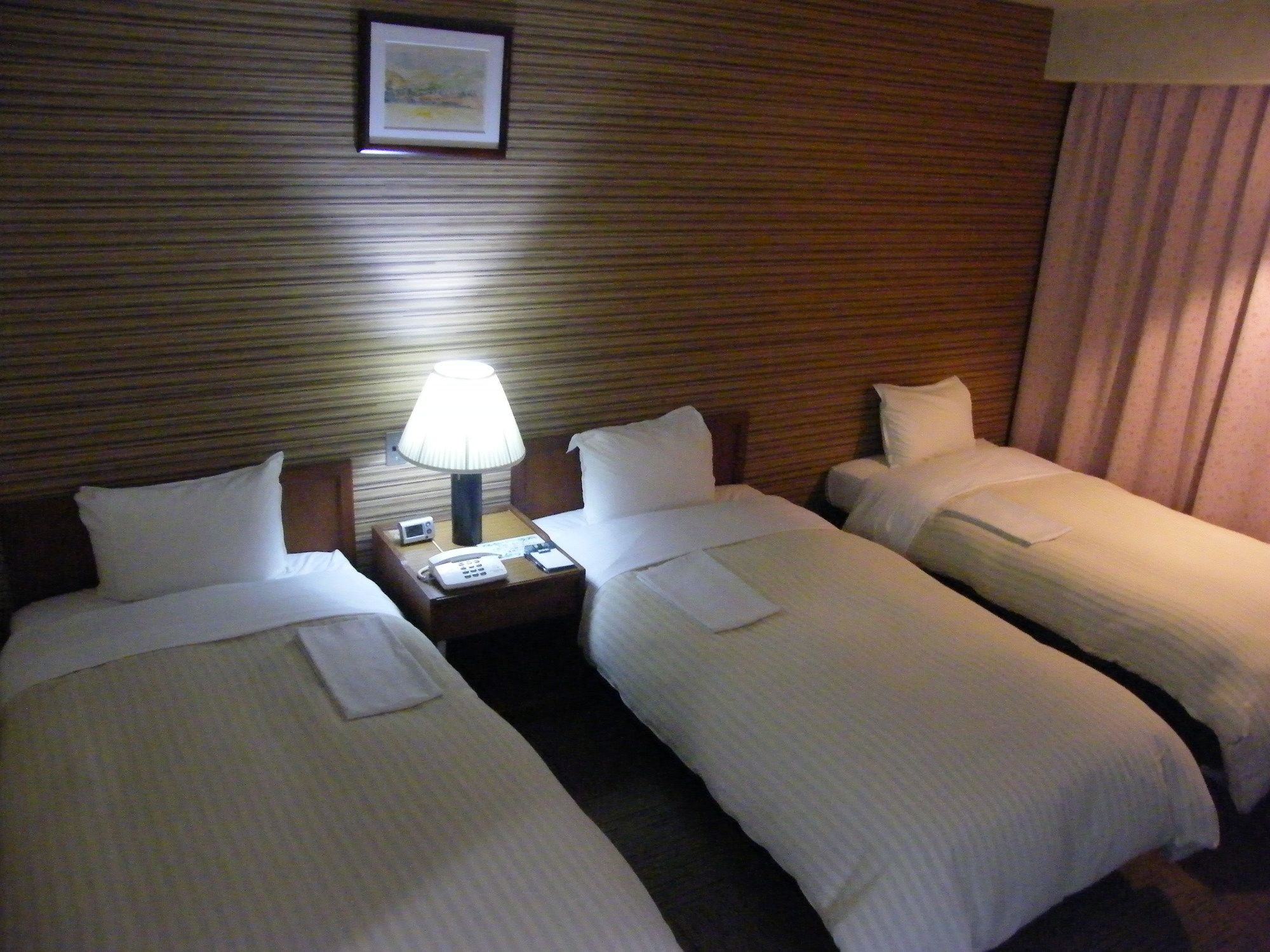 Hotel Sun Hitoyoshi — hotel in Hitoyoshi