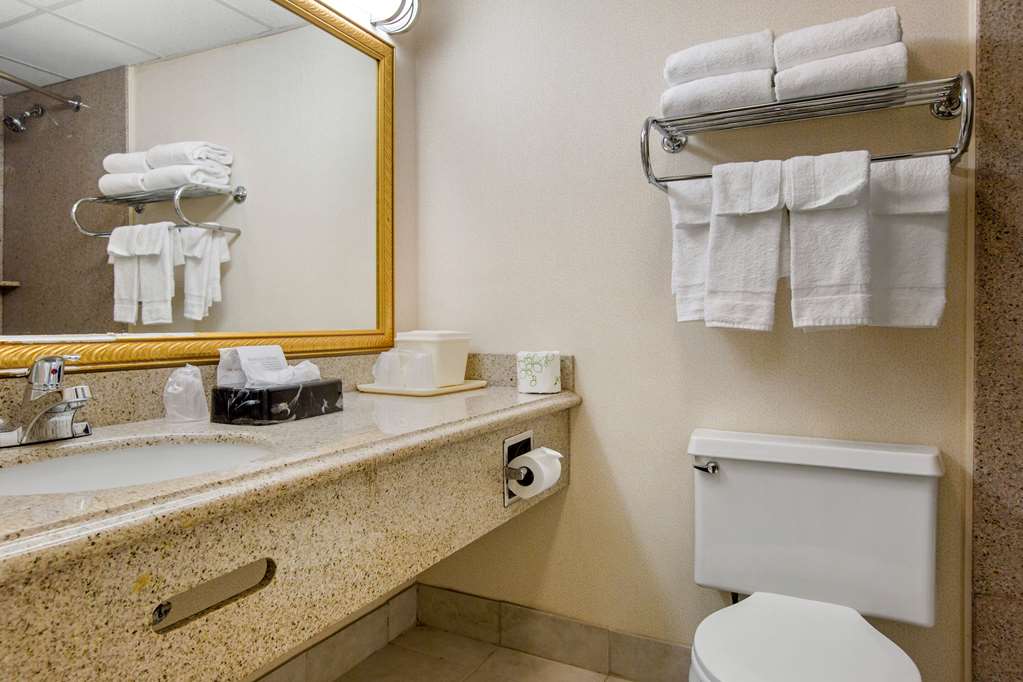 Quality Inn Ledgewood Dover - photo 9