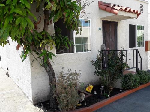 World Motel - photo 20