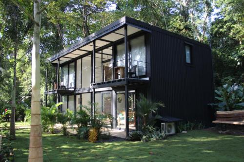 Green Lapa’s in Unknown City, Costa Rica