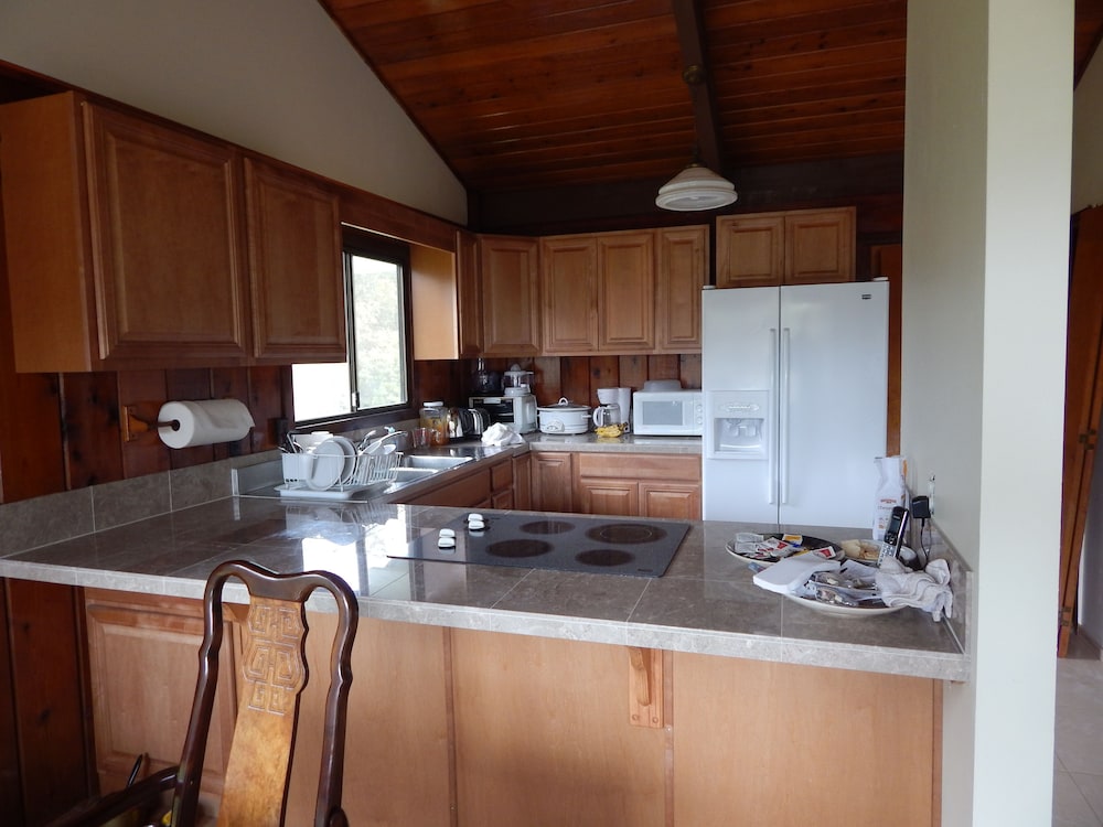 Fern Forest Getaway - photo 28