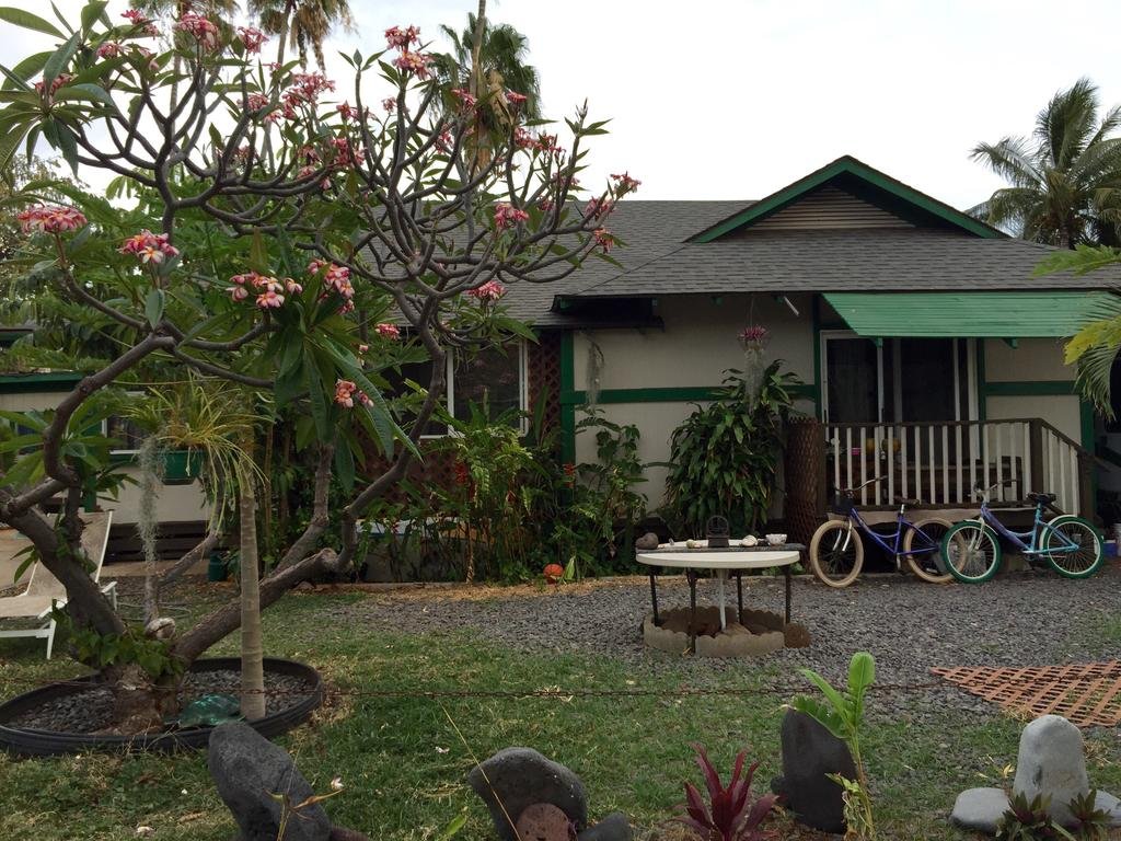 Hakuna Matata Maui Hostel - photo 11