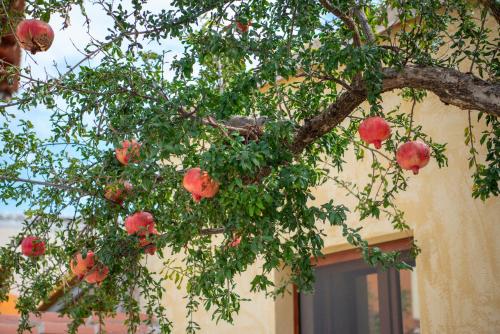 Il tuo Relax — Cabras — photo 5