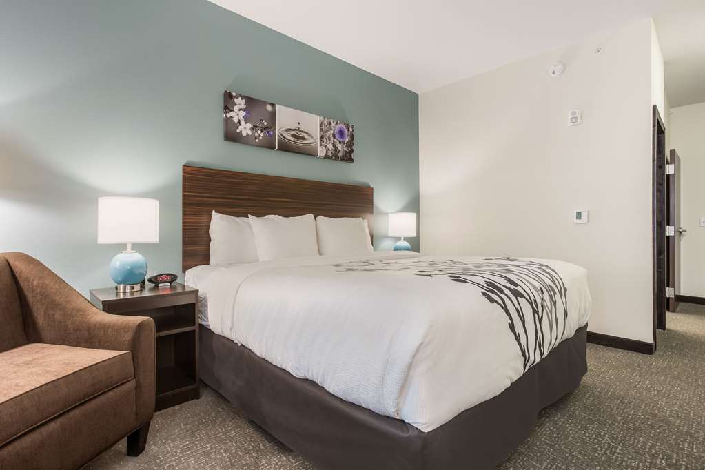 Sleep Inn & Suites Webb City - photo 18