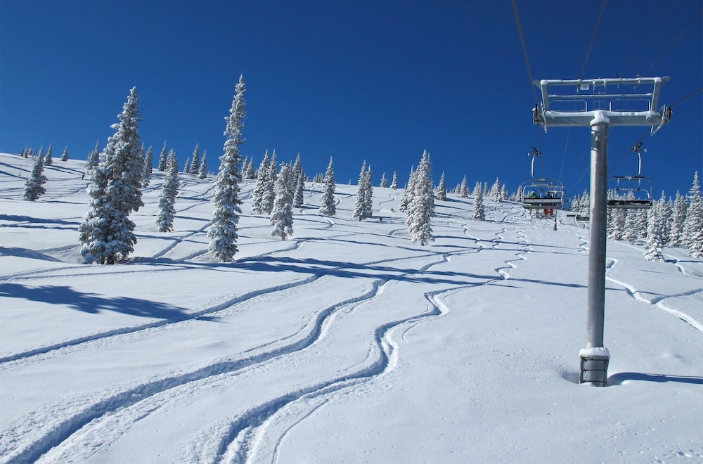 Aspen Meadows Resort - photo 36