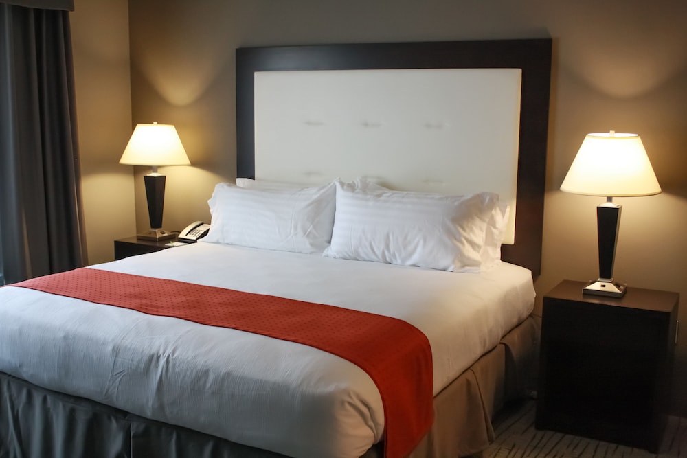 Holiday Inn Hotel & Suites Davenport by IHG - photo 5