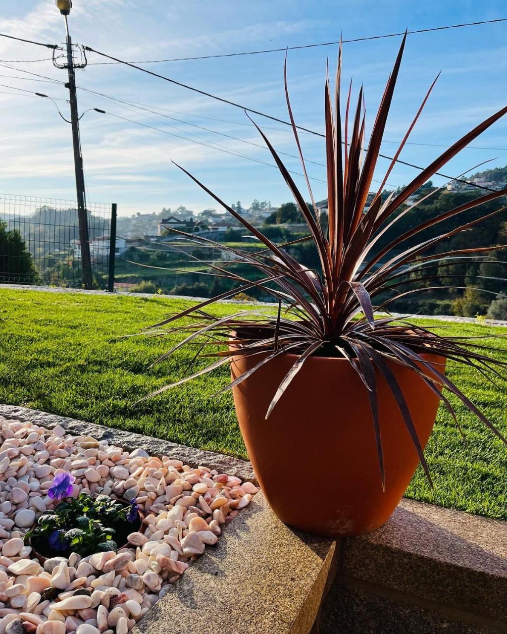 Emiliadourohouse in Marco De Canavezes, Portugal