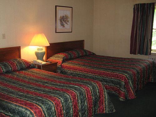 Red Carpet Inn Endicott Binghamton - photo 5