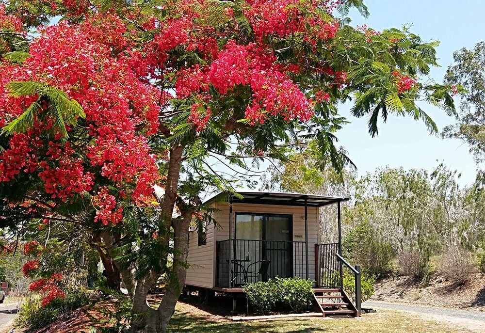 Mt Larcom Tourist Park - last minute hotel in Unknown City