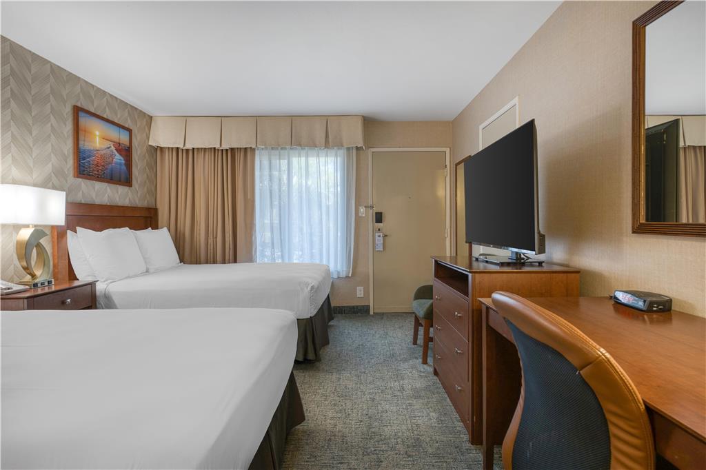Best Western Seven Seas - photo 27