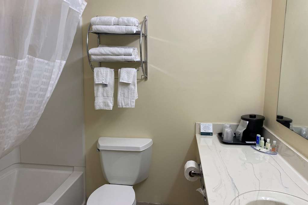 AmericInn by Wyndham Fort Atkinson - photo 8