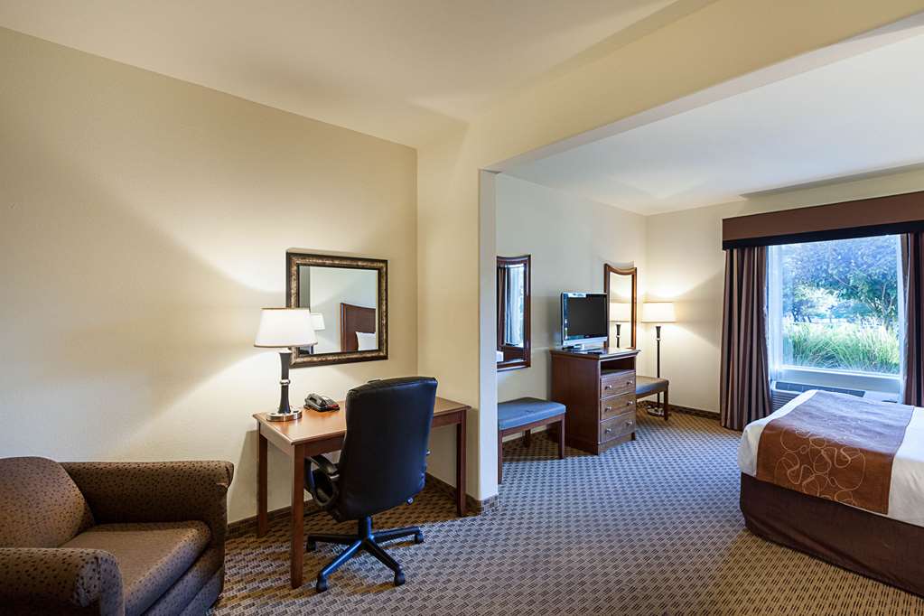 Comfort Suites Stone Oak - photo 10