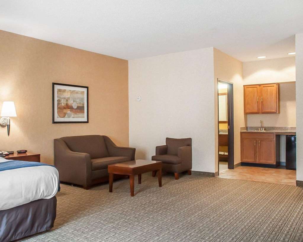 Comfort Inn & Suites Hamburg Buffalo South - photo 13