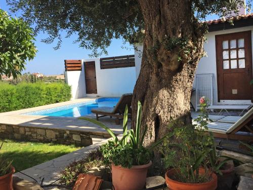 Cobblers in Unknown City, Cyprus