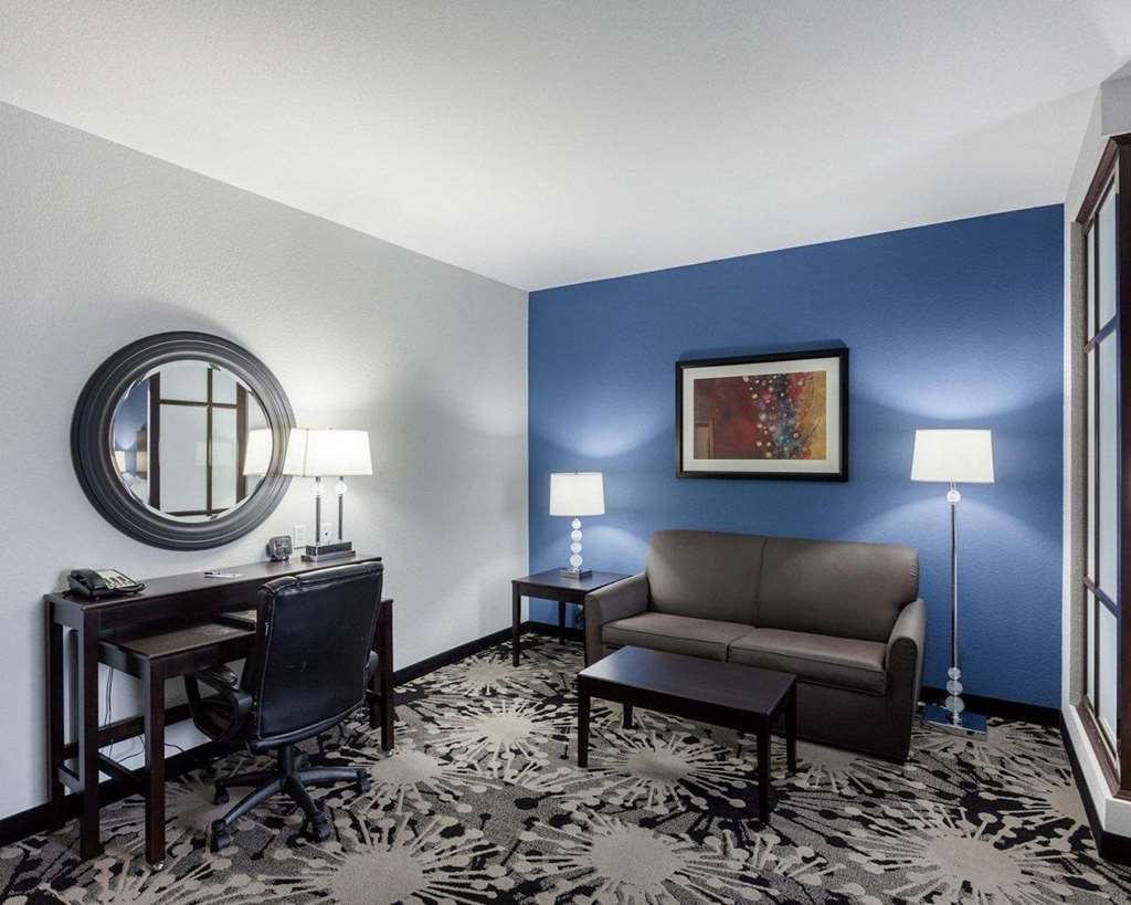 Comfort Suites Greenville - photo 14