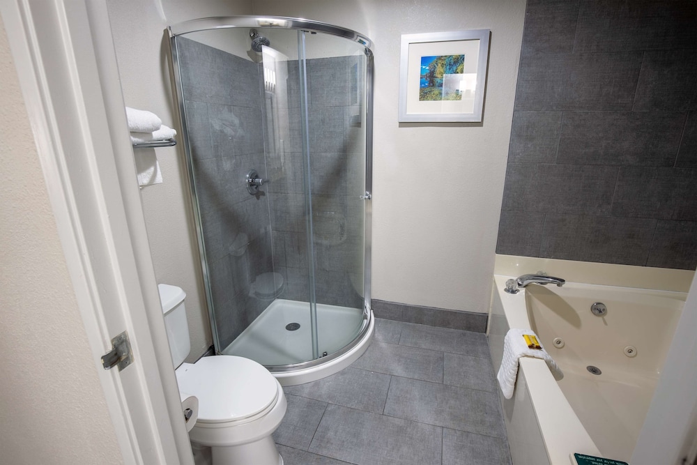Best Western Plus Vermilion River Inn & Suites - photo 26