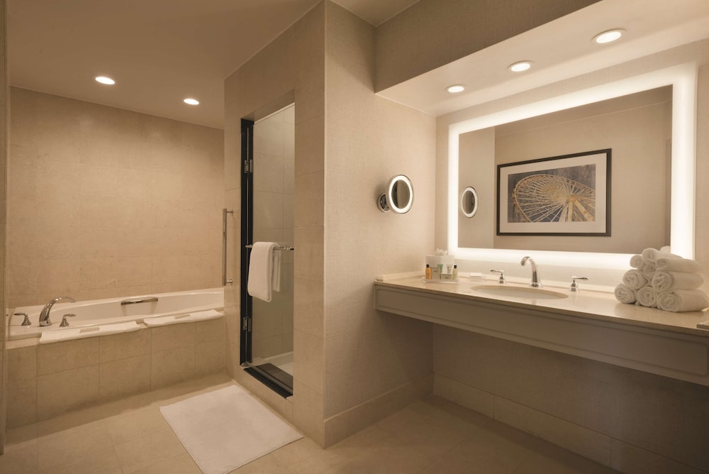 Hilton Chicago Magnificent Mile Suites - photo 34