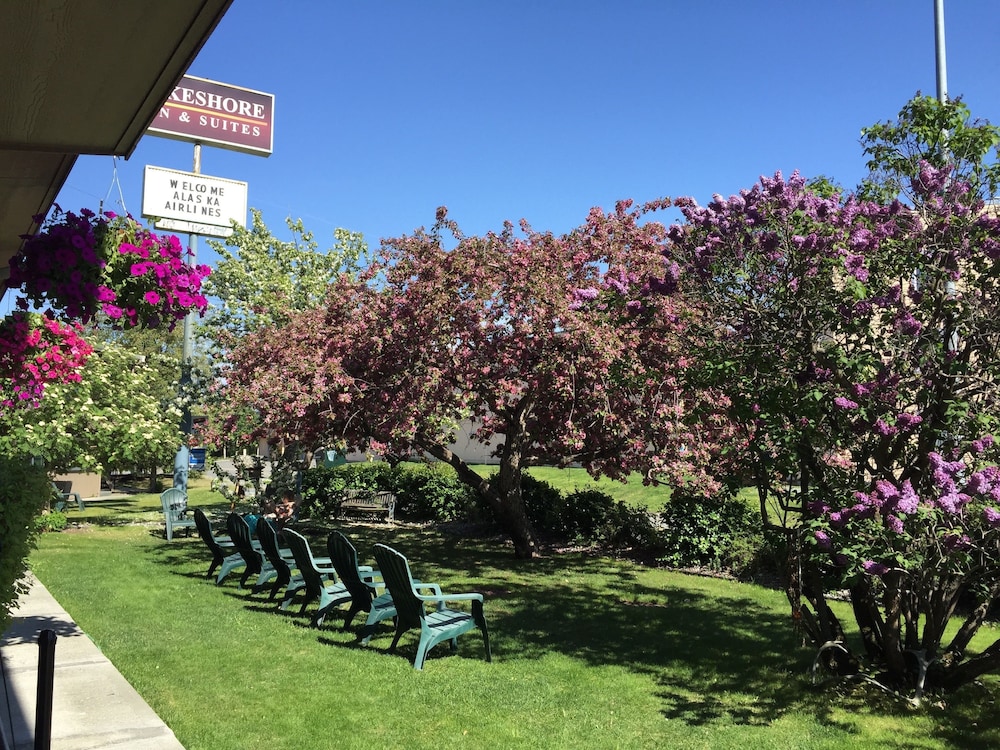 Lakeshore Inn & Suites - photo 45