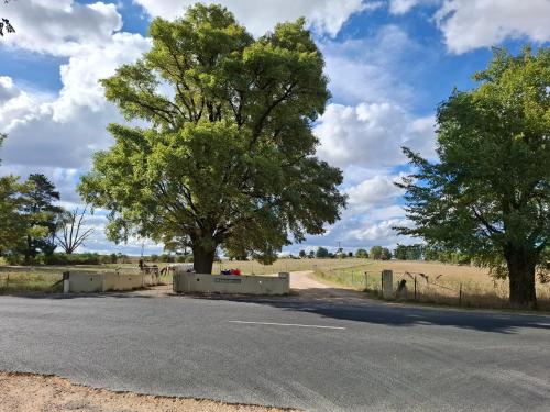 Alloway Bank — 4-Star Luxury Hotel in Bathurst, Australia