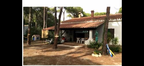 Villa Alba — 4-Star Luxury Hotel in None, Italy