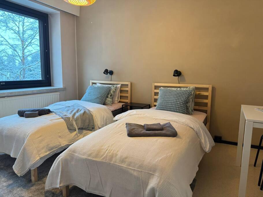 Arctic Pine Base in Rovaniemi, Finland