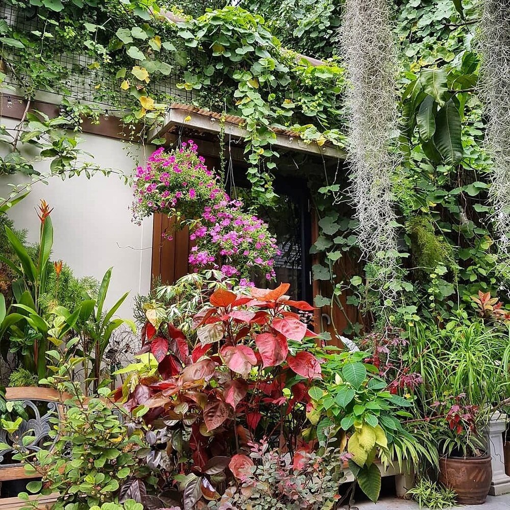 37 Nature House