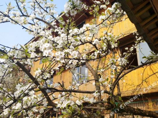 Camay Court Hotel in Longsheng, People's Republic of China