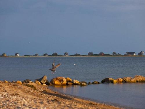 Martinas Mare de Luxe in Heiligenhafen, Germany