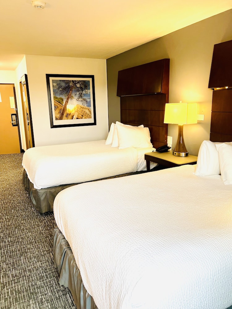 Quality Inn & Suites Caribou - photo 15
