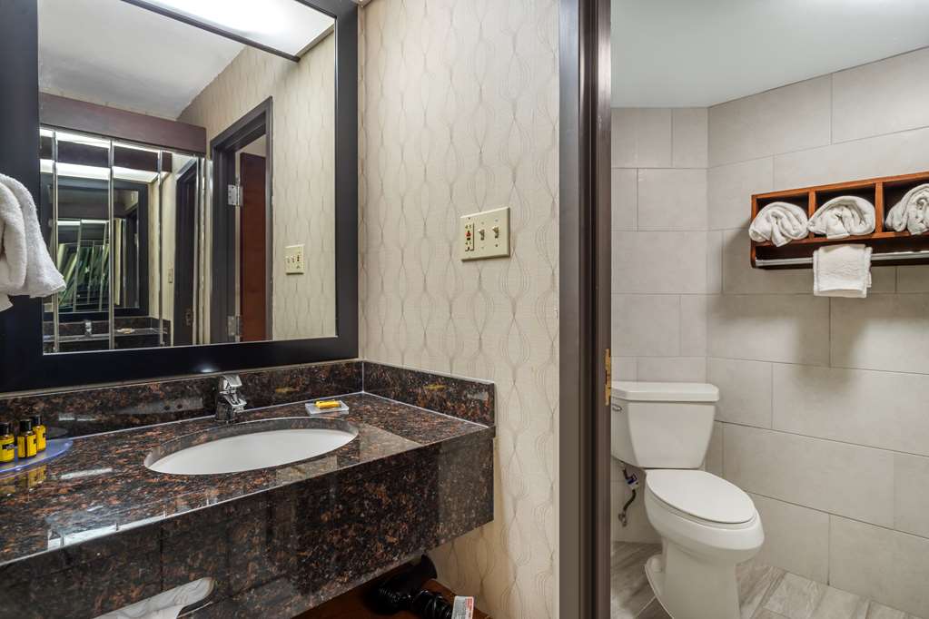 Best Western Plus Houston Energy Corridor - photo 14