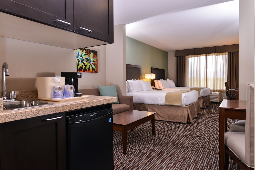 Holiday Inn Express & Suites Indio Coachella Valley by IHG - photo 9
