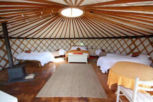 'Oak' Yurt in West Sussex Countryside — hotel in Haslemere
