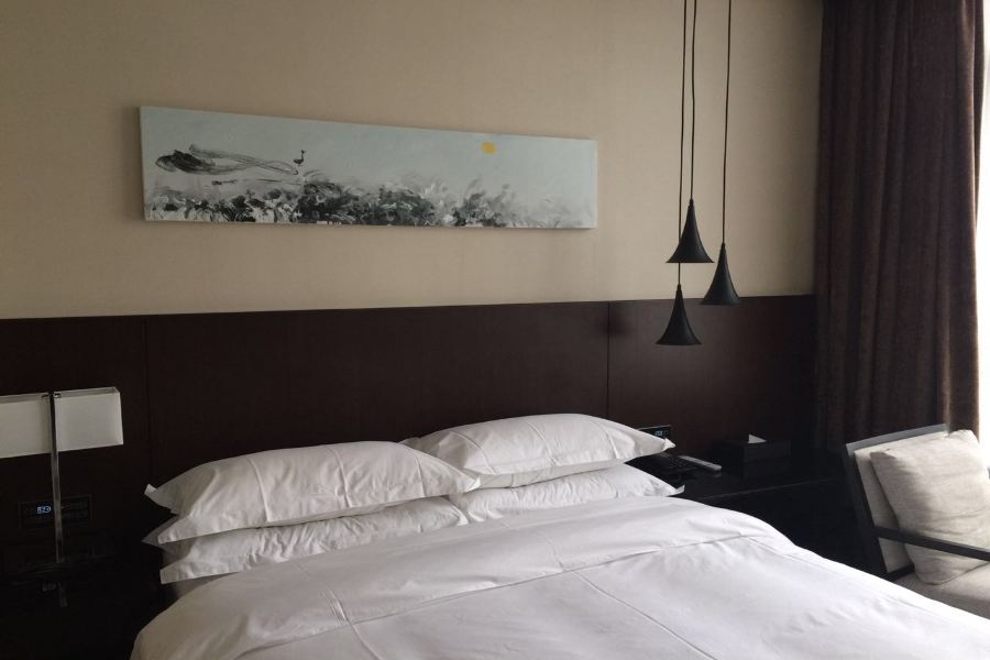 Fancy Hotel Shenzhen North Railway Station — 4-Star Luxury Hotel in Shenzhen, People's Republic of China