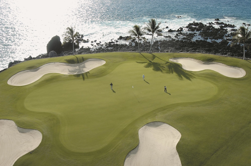 Fairmont Orchid - photo 86