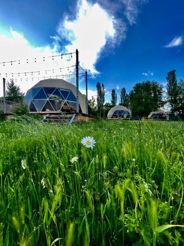 Tevani Glamping in Gyulagarak, Armenia